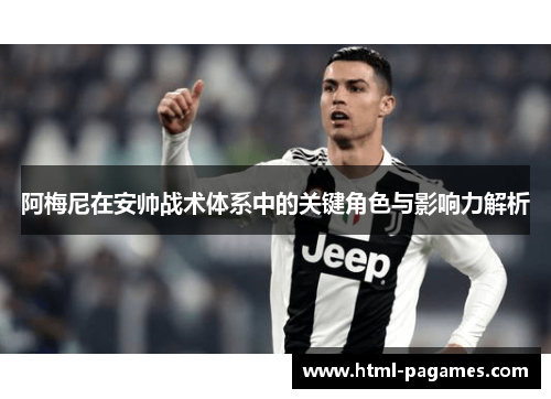 阿梅尼在安帅战术体系中的关键角色与影响力解析