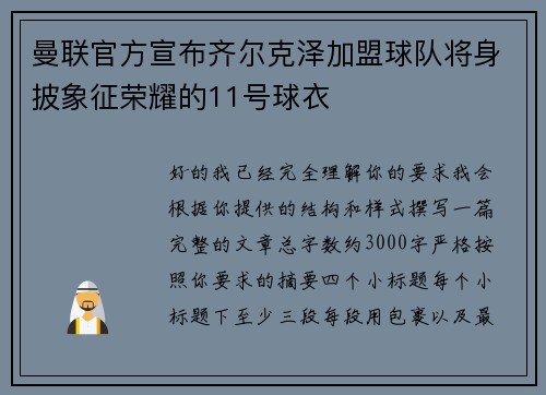曼联官方宣布齐尔克泽加盟球队将身披象征荣耀的11号球衣